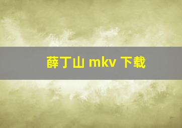 薛丁山 mkv 下载